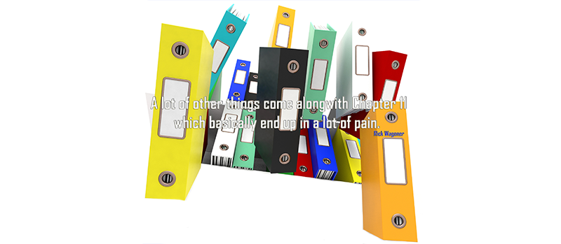 chapter11 reorganize